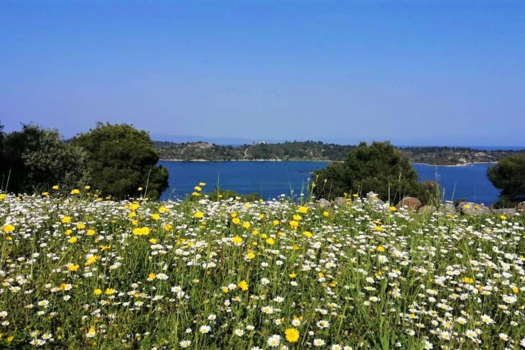 Villa Wood & Stone Dream View House B Diaporos Exterior foto