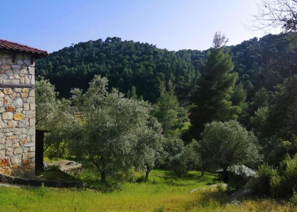 Villa Wood & Stone Dream View House B Diaporos Exterior foto